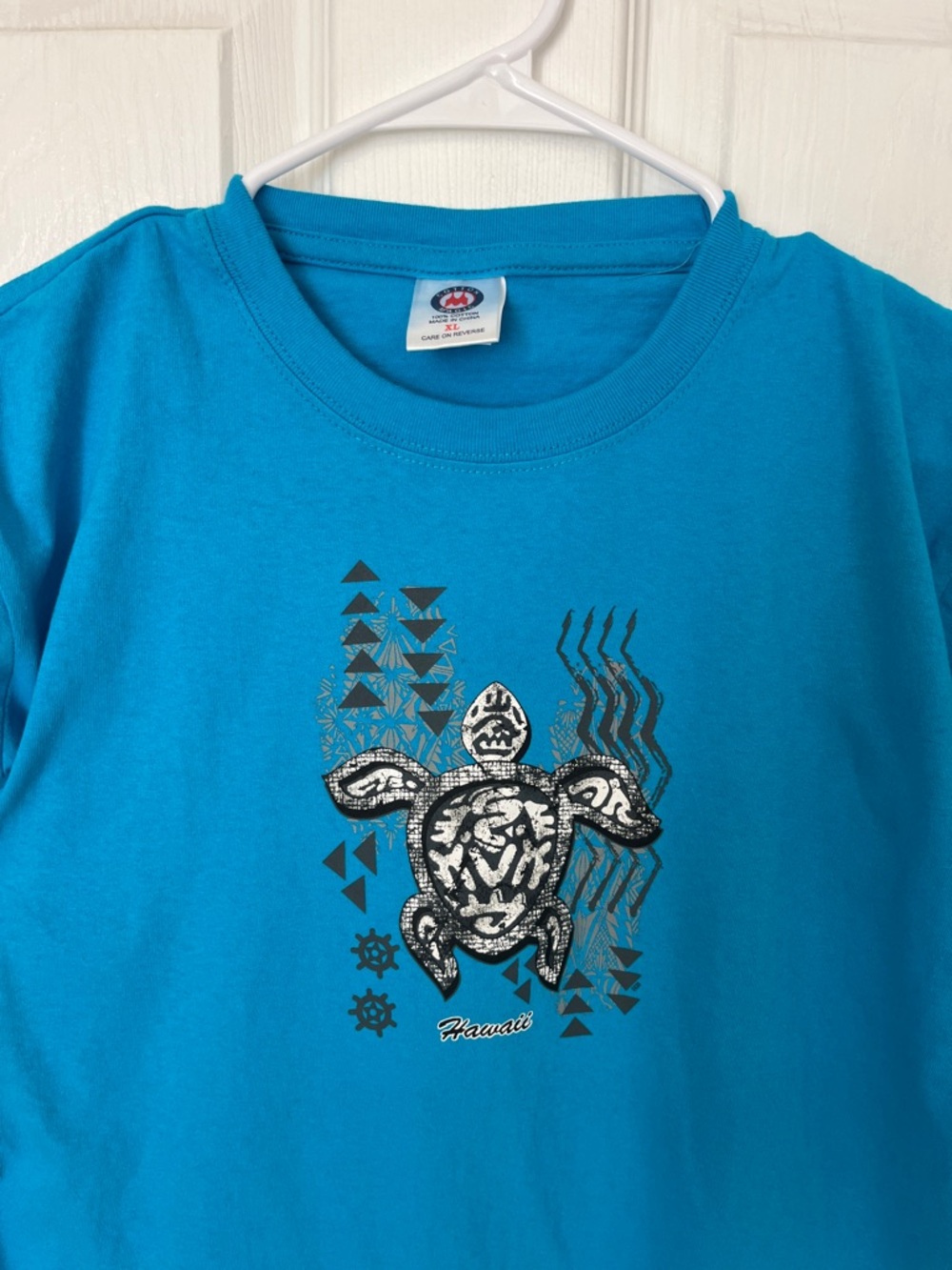 Kid’s Hawaii Turquoise Tee with Turtle Motif
